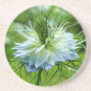 Kornblume Getränkeuntersetzer