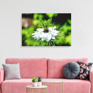 Kornblume Leinwanddruck