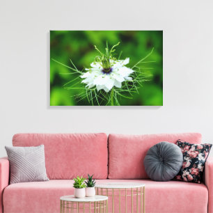 Kornblume Leinwanddruck