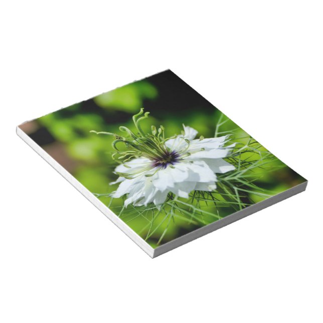 Kornblume Notizblock (angewinkelt)
