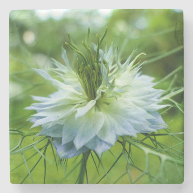 Kornblume Steinuntersetzer (Vorderseite)