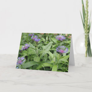 Kornblumen-Grußkarte Karte