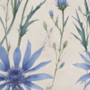 Kornblumen-Peel-and-Stick-Tapete  Tapete