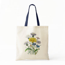 Kornblumen