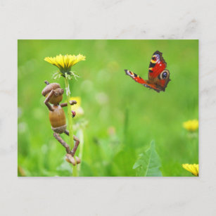 Kornelf auf Löwenzahn mit Schmetterling auf Wiese Postkarte