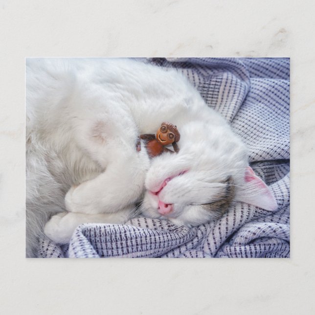 Kornelf mit Katze Postkarte (Vorderseite)