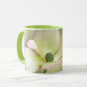 Kornelkirsche Kousa der Hartriegel-Blüten-  Tasse