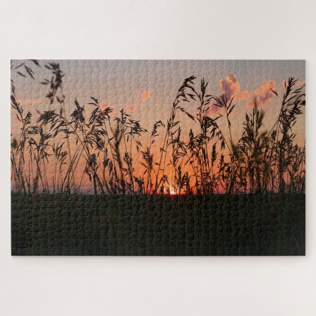 Körner mit Sonnenuntergang (Horizontal)