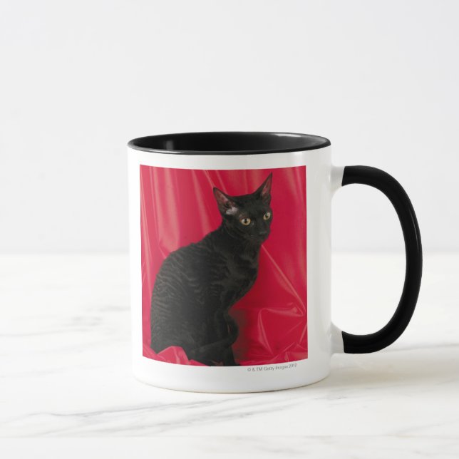 Kornische rex Katze Tasse (Rechts)