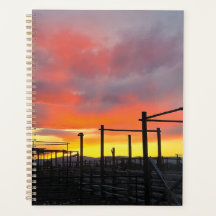 Korralschreiber bei Sonnenuntergang