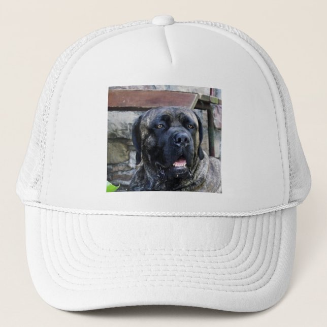 Korsograu Truckerkappe (Vorderseite)