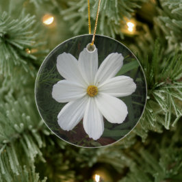 Kosmee Keramik Ornament