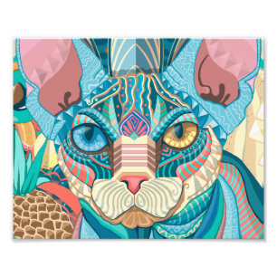 Kosmische Sphynx Katze Fotodruck