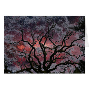 Kosmischer Baum - Milchstraße-Mitte