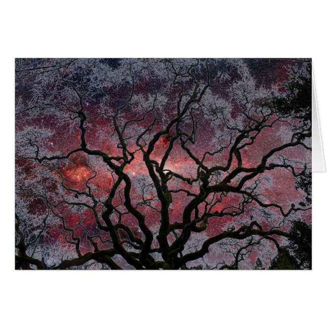 Kosmischer Baum - Milchstraße-Mitte (Vorderseite (Horizontal))