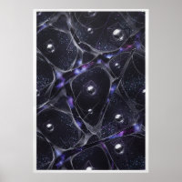Kosmischer Web Silber Orbs Abstrakter Poster