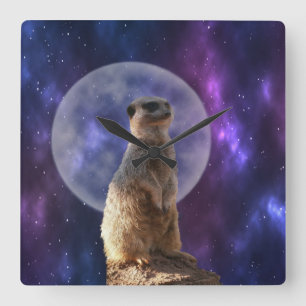 Kosmisches Sentinel: Meerkat unter dem Vollmond Quadratische Wanduhr