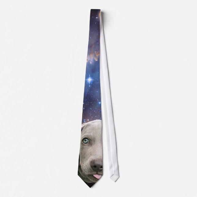 Kosmisches Weimaraner in der Raum-Krawatte Krawatte (Vorderseite)