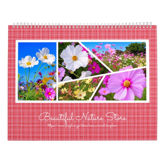 Kosmokalender Kalender (Rückseite)