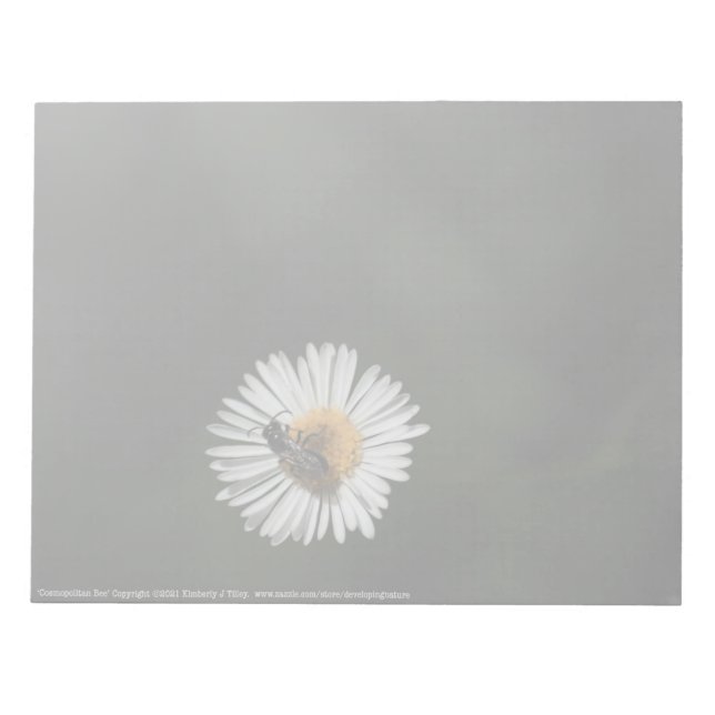 Kosmopolitische Biene Notizblock (Vorderseite)