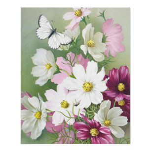 Kosmos-Blumen-Schmetterling Vintage-Blumenmuster R Poster