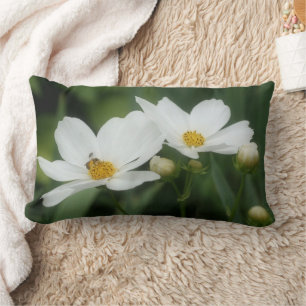 Kosmos Blumen Und Biene Lendenkissen