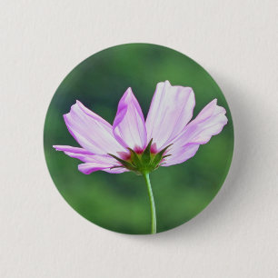 Kosmos Button
