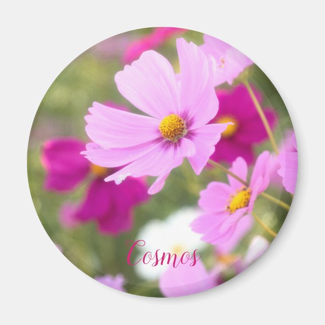 Kosmos [Circle Magnet] Magnet (Vorne)