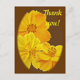 Kosmos (Cosmos sulfureus) Blume Vielen Dank Postkarte