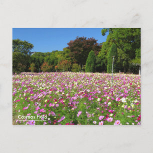 Kosmos-Feld:Postkarte Postkarte
