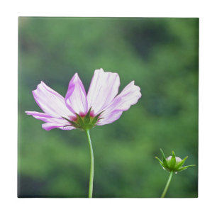 Kosmos Fliese