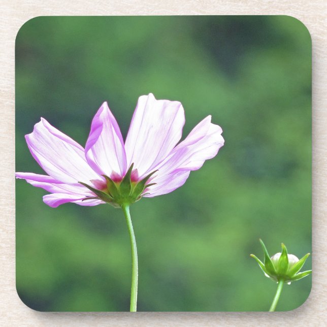 Kosmos Getränkeuntersetzer (Vorderseite)