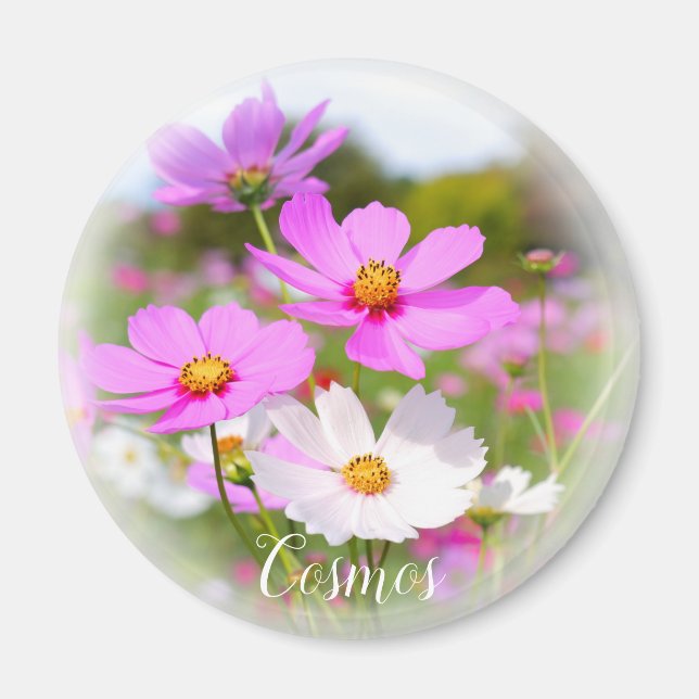 Kosmos Magnet (Vorne)