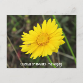 Kosmos mit Bienenpostkarte Postkarte