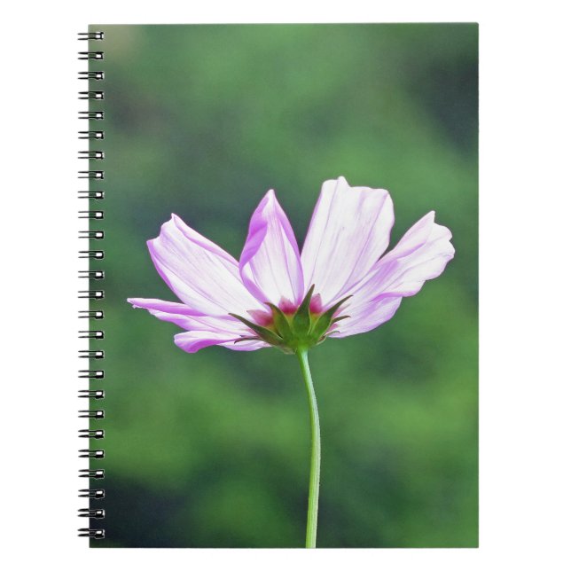 Kosmos Notizblock (Vorderseite)