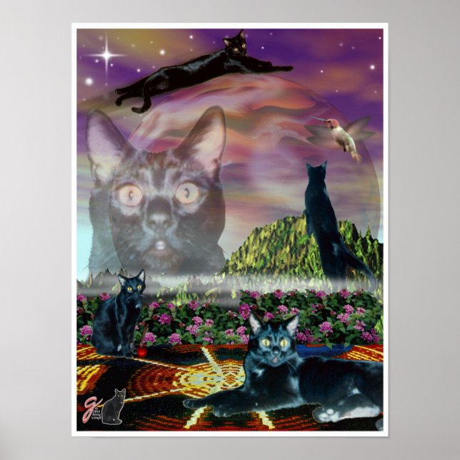 Kosmos Poster (Vorne)