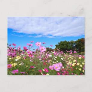 Kosmos [Postkarte] Postkarte