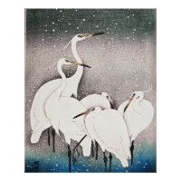 Koson - Eine Gruppe von Egrets