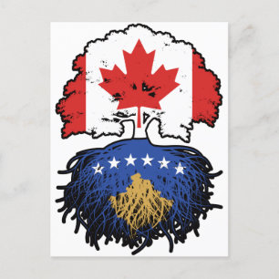 Kosovo-Kosovo Kanadische Treuhandflagge im Kosovo Postkarte