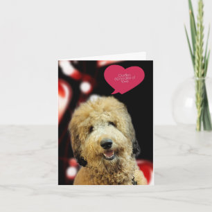 Kostbare Doodle-Hund-Valentinstagskarte Karte