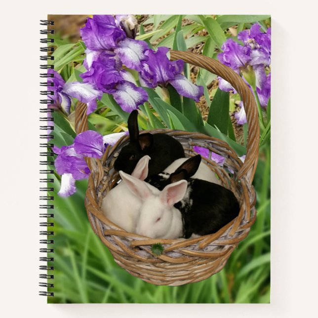 Kostbare Körbe für Baby Bunnies Notizbuch (Vorderseite)