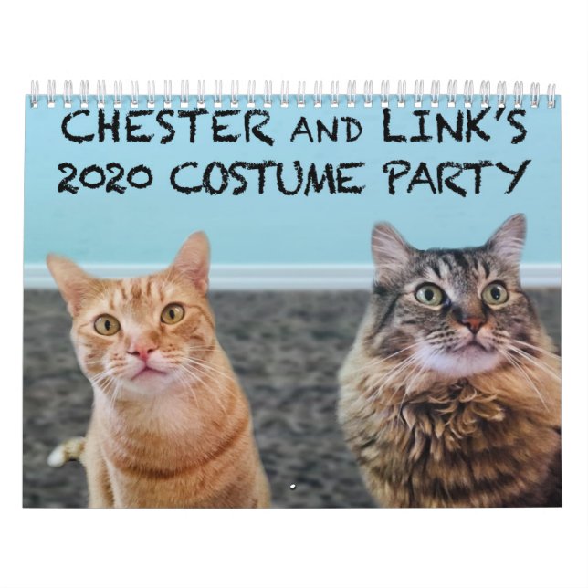Kostengründe Katzen - Kalender 2020 (Titelbild)