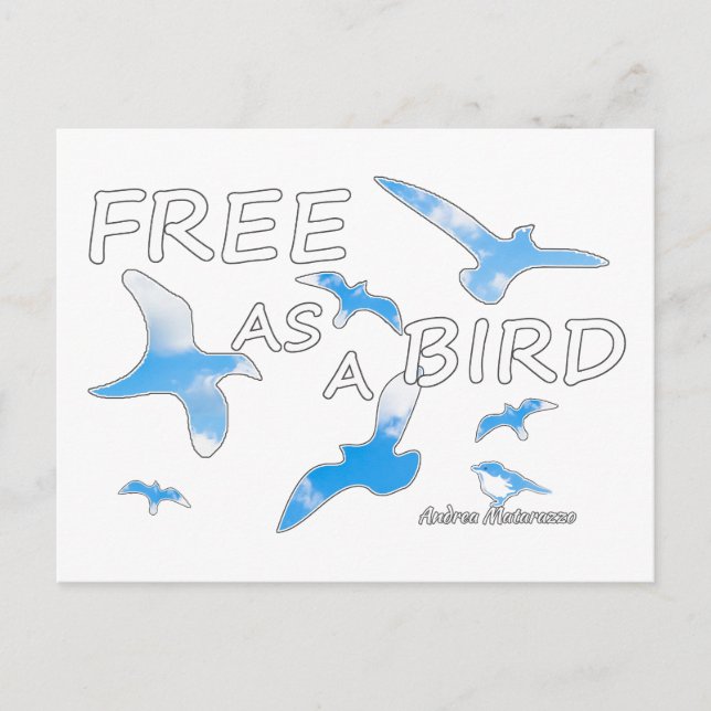 Kostenlos als Vogel 2 Postkarte (Vorderseite)