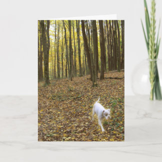 Kostenlos laufen karte