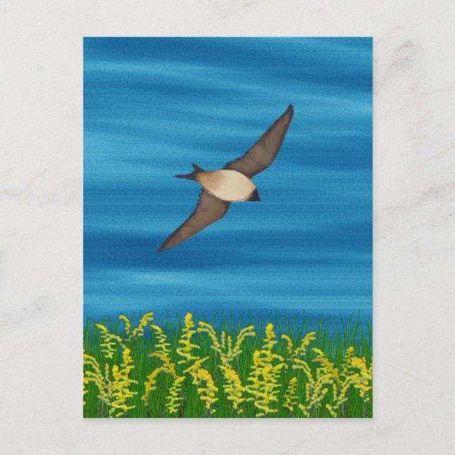 KOSTENLOSE BIRD POSTKARTE (Vorderseite)