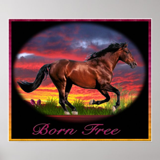 kostenlose Poster-Kunst Poster (Vorne)