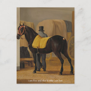 Kostenloser und verlorener Poster Postkarte