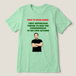 Kostenloses bis gutes Zuhause-Tri-Blend-Shirt Tri-Blend Shirt