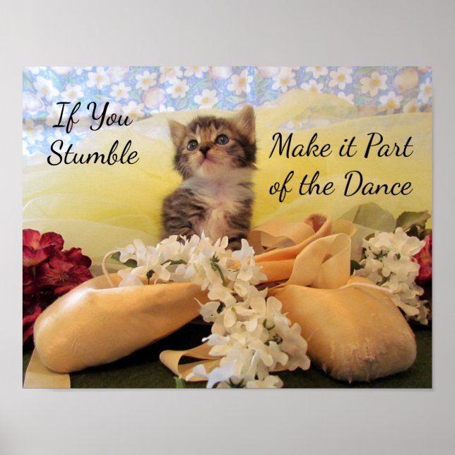 Kostensatz für Tanzvorführungen - Katze / Kätzchen Poster (Vorne)
