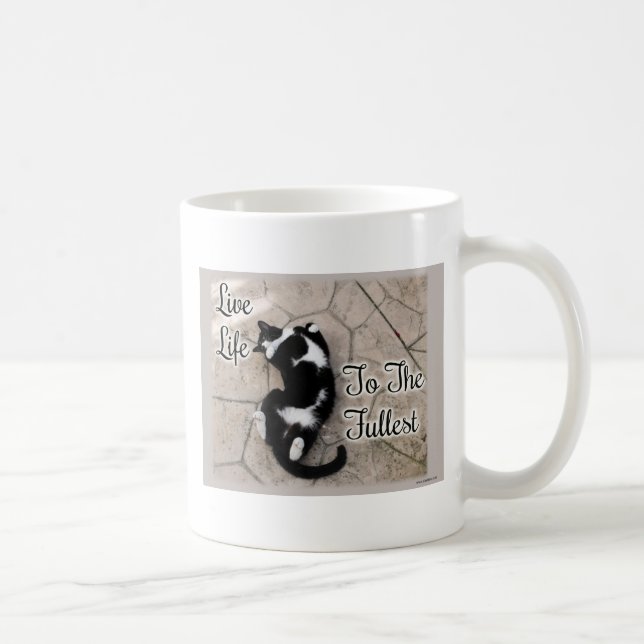 Kostenvoranschlag für das Motivierend Cat-Foto in  Kaffeetasse (Rechts)